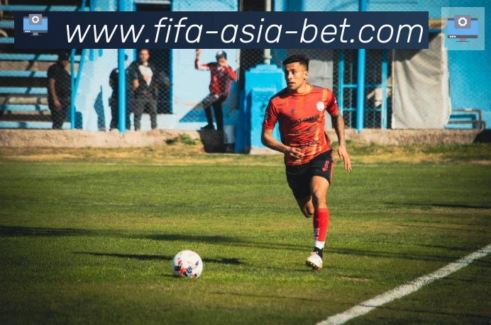 FIFA世界杯买球入口荣誉