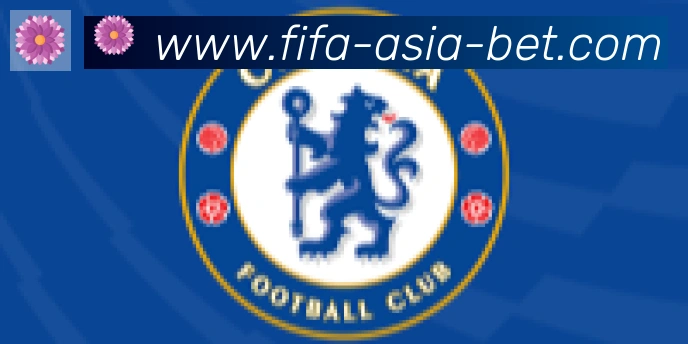 FIFA世界杯买球入口合作伙伴