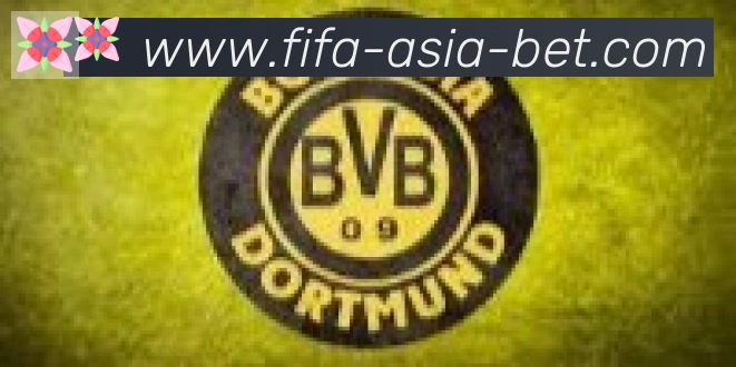 FIFA世界杯买球入口合作伙伴