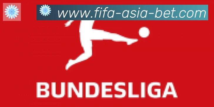 FIFA世界杯买球入口合作伙伴